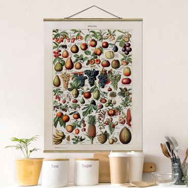 Plakat z wieszakiem - Tablica edukacyjna w stylu vintage Owoce