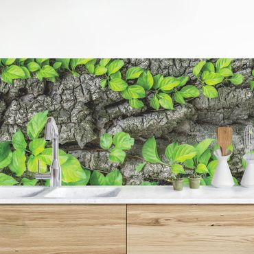 Panel ścienny do kuchni - Kora drzewa bluszczu