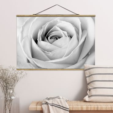 Plakat z wieszakiem - Róża z bliska