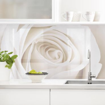 Panel ścienny do kuchni - Piękna biała róża