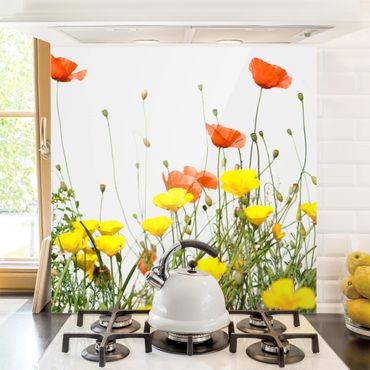 Panel szklany do kuchni - Dzikie kwiaty
