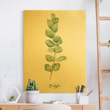 Złoty obraz na płótnie - Akwarela Botanika Eukaliptus