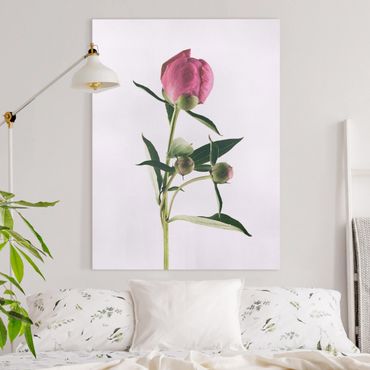 Obraz na płótnie - Pencup różowy na białym tle