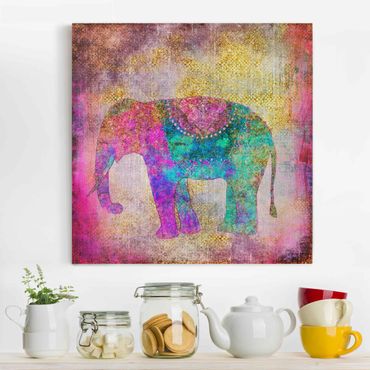 Obraz na płótnie - Kolorowy kolaż - Słoń indyjski
