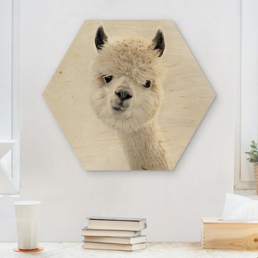 Obraz heksagonalny z drewna - Portret alpaki