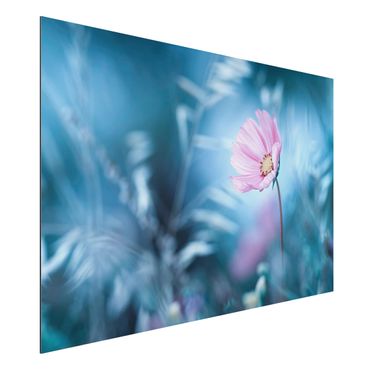 Obraz Alu-Dibond - Kwiat w pastelach