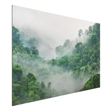 Obraz Alu-Dibond - Dżungla we mgle