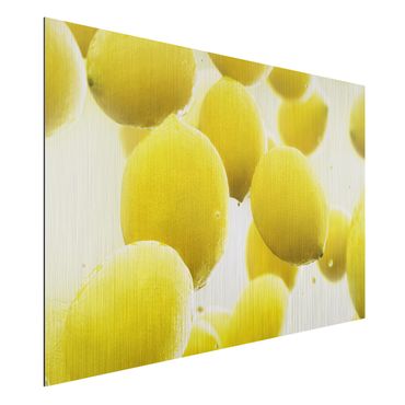 Obraz Alu-Dibond - Citrony w wodzie