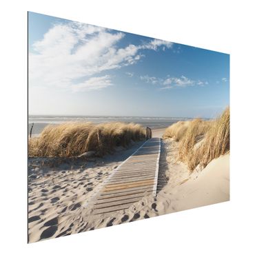 Obraz Alu-Dibond - Plaża nad Morzem Bałtyckim