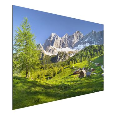 Obraz Alu-Dibond - Styria Alpejska łąka