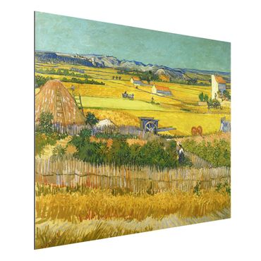 Obraz Alu-Dibond - Vincent van Gogh - Żniwa