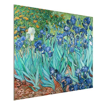 Obraz Alu-Dibond - Vincent van Gogh - Iris