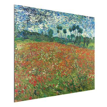 Obraz Alu-Dibond - Vincent van Gogh - Pole maków