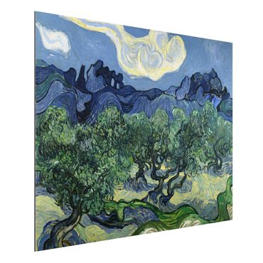Obraz Alu-Dibond - Vincent van Gogh - Drzewa oliwne