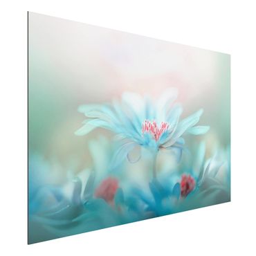 Obraz Alu-Dibond - Delikatne kwiaty w pastelach