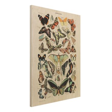 Obraz z drewna - Tablica edukacyjna w stylu vintage Motyle i ćmy