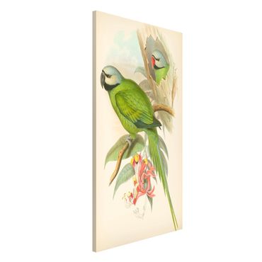 Tablica magnetyczna - Ilustracja w stylu vintage Ptaki tropikalne II