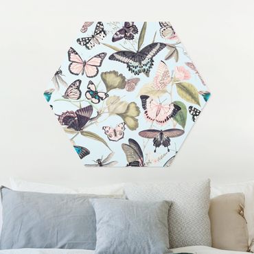 Obraz heksagonalny z Forex - Kolaże w stylu vintage - Motyle i ważki