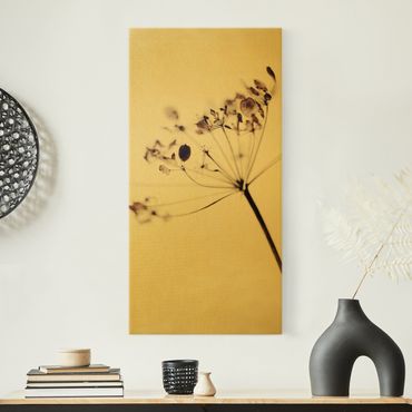 Złoty obraz na płótnie - Makro ujęcie suszonego kwiatu w cieniu