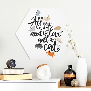 Obraz heksagonalny z Forex - Wszystko, czego potrzebujesz, to miłość i kot