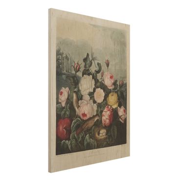 Obraz z drewna - Botanika Vintage Ilustracja róż