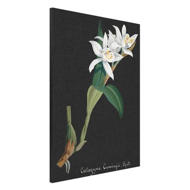 Tablica magnetyczna - Biała orchidea na lnie II