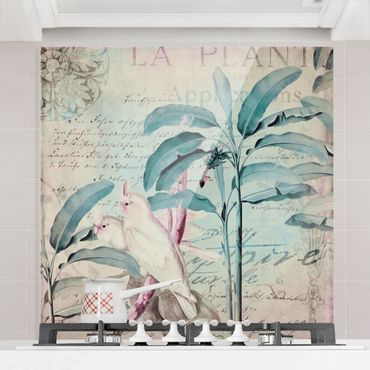 Panel szklany do kuchni - Kolaże w stylu kolonialnym - Kakadu i palmy