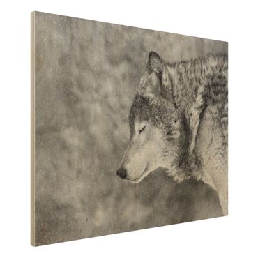 Obraz z drewna - Winter Wolf