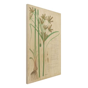 Obraz z drewna - Rysunki botaniczne w stylu vintage Trawy I