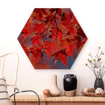 Obraz heksagonalny z drewna - Klon czerwony