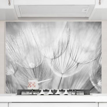 Panel szklany do kuchni - Zdjęcie makro mniszka lekarskiego w czerni i bieli
