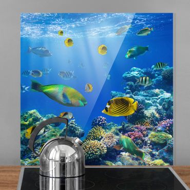 Panel szklany do kuchni - Światła podwodne