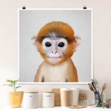 Plakat reprodukcja obrazu - Baby Monkey Anton