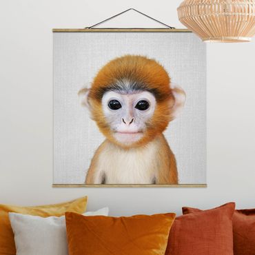 Plakat z wieszakiem - Baby Monkey Anton - Kwadrat 1:1