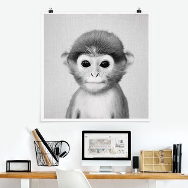 Plakat reprodukcja obrazu - Baby Monkey Anton Black And White