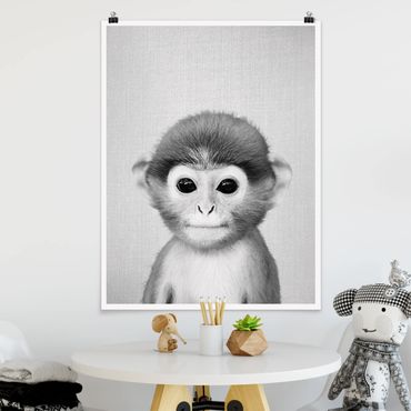 Plakat reprodukcja obrazu - Baby Monkey Anton Black And White