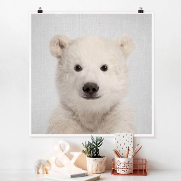 Plakat reprodukcja obrazu - Baby Polar Bear Emil