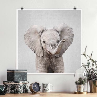 Plakat reprodukcja obrazu - Baby Elephant Elsa