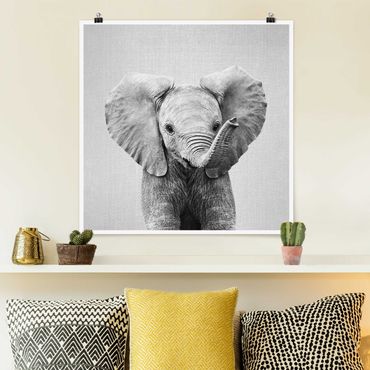 Plakat reprodukcja obrazu - Baby Elephant Elsa Black And White