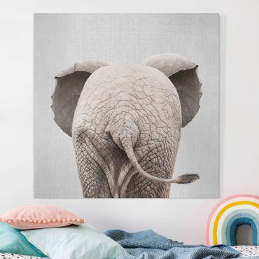 Obraz na płótnie - Baby Elephant From Behind - Kwadrat 1:1
