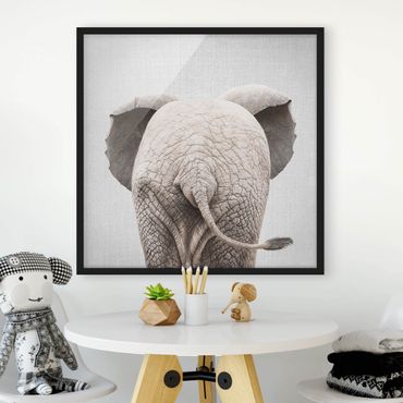 Obraz w ramie - Baby Elephant From Behind