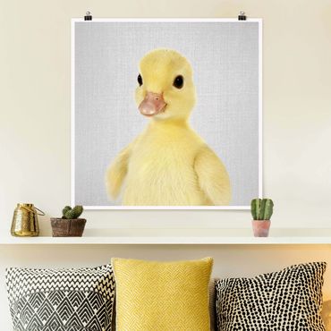 Plakat reprodukcja obrazu - Baby Duck Emma