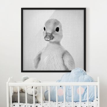 Obraz w ramie - Baby Duck Emma Black And White