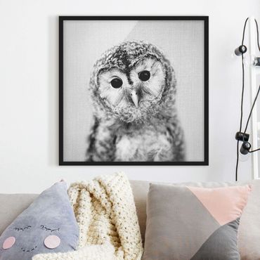 Obraz w ramie - Baby Owl Erika Black And White
