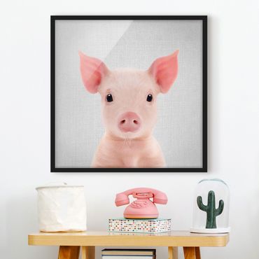 Obraz w ramie - Baby Piglet Fips