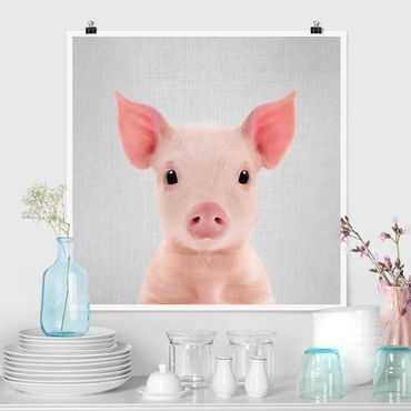 Plakat reprodukcja obrazu - Baby Piglet Fips