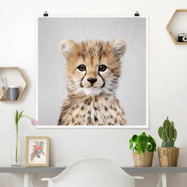 Plakat reprodukcja obrazu - Baby Cheetah Gino