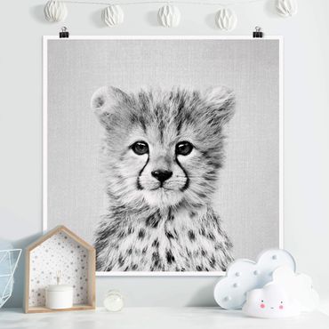 Plakat reprodukcja obrazu - Baby Cheetah Gino Black And White