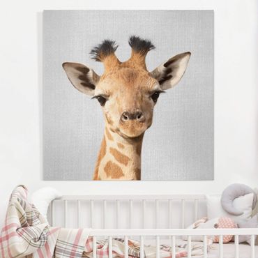 Obraz na płótnie - Baby Giraffe Gandalf - Kwadrat 1:1