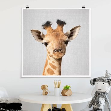 Plakat reprodukcja obrazu - Baby Giraffe Gandalf